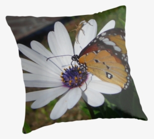 Butterfly And Daisies, Png V - Cushion, Transparent Png, Transparent PNG