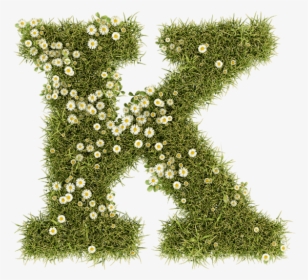 Daisy Font - Grass, HD Png Download, Transparent PNG