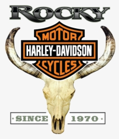 Rocky Harley-davidson Logo - Rocky Harley Davidson Logo, HD Png Download, Transparent PNG