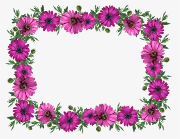 Frame, Border, Daisies, Decoration, Label - Kwiaty Gify Bez Tła, HD Png Download, Transparent PNG