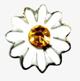 White Daisy Photo - Body Jewelry, HD Png Download, Transparent PNG