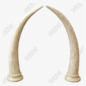 Horn - Arch, HD Png Download, Transparent PNG