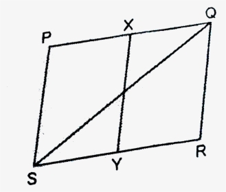 Diagram, HD Png Download, Transparent PNG
