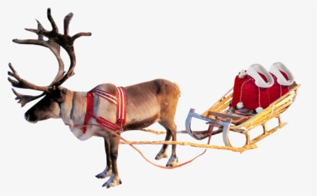 Santa Sleigh Png Clipart - Christmas Reindeer Transparent Background, Png Download, Transparent PNG