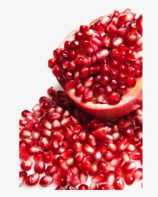 Transparent Pomegranate Png - Pomegranate Png, Png Download, Transparent PNG
