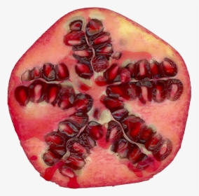 Pomegranate Png - Letters Food, Transparent Png, Transparent PNG