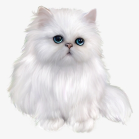 Persian Cat Himalayan Cat Ragdoll Domestic Long-haired - Animals Png Black Background, Transparent Png, Transparent PNG