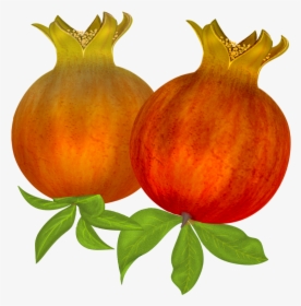 Image Stock Free Pomegranates Png Graphics Pinterest - Natural Foods, Transparent Png, Transparent PNG