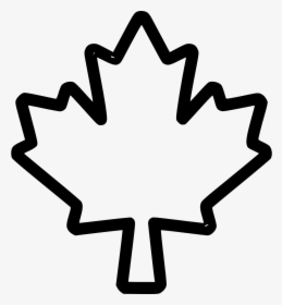 Maple Leaf Canada Tree - Maple Leaf Outline Png, Transparent Png, Transparent PNG