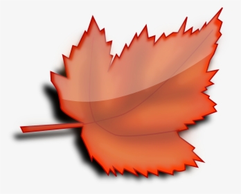 Maple Autumn Fall Leaf Orange Png Image - Leaf Clipart Transparent Background, Png Download, Transparent PNG