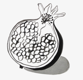 Clip Art How To Draw A Pomegranate - Pomegranate Illustration Black And White, HD Png Download, Transparent PNG