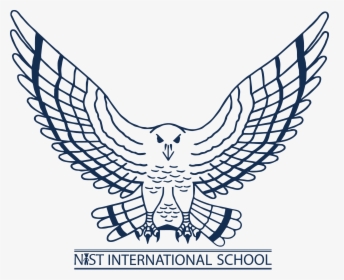Nist International School Falcons, HD Png Download, Transparent PNG