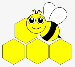 Beehive Png Download Big Im - Am1 Future Quad Fins, Transparent Png, Transparent PNG