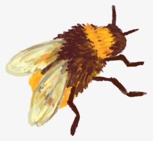 Beehive Vector Bee , Png Download - Honey Bee Beehive Honeycomb, Transparent Png, Transparent PNG