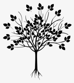 Transparent Tree Of Life Silhouette Png - Versiculo Del Dia 24 De Julio, Png Download, Transparent PNG