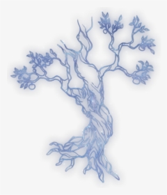 Tree Of Life Constellation Icon - Constellation Tree Of Life, HD Png Download, Transparent PNG