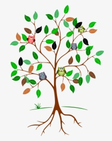 Owls In A Tree Clip Arts - Tree With Roots And Leaves, HD Png Download, Transparent PNG