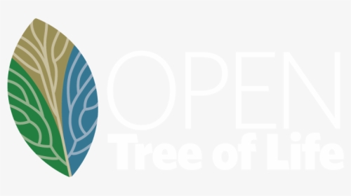 Open Tree Of Life Logo, HD Png Download, Transparent PNG
