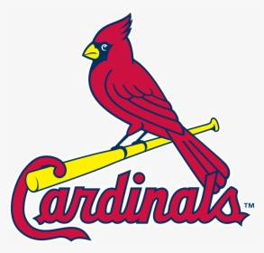 Louis Cardinals Logo - Stl Cardinals Logo Png, Transparent Png, Transparent PNG