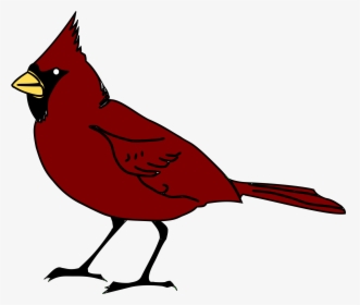 Cardinal - Red Robin Bird Cartoon, HD Png Download, Transparent PNG