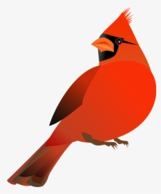 Northern Cardinal St - Red Cardinal Bird Clip Art, HD Png Download, Transparent PNG