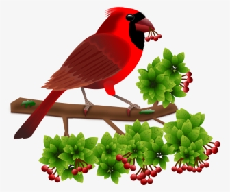 Beautiful Birds Word, HD Png Download, Transparent PNG
