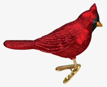 Transparent Cardinal Bird Png - Northern Cardinal, Png Download, Transparent PNG