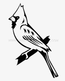 Transparent Cardinals Png - Cardinal Black And White, Png Download, Transparent PNG