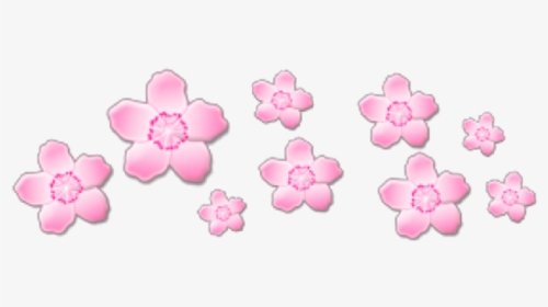 #pink #pinkflowers #flowers #crown #png #cute #sticker - Transparent Blue Aesthetic Stickers, Png Download, Transparent PNG