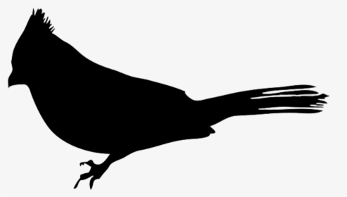 Bird European Robin Silhouette Clip Art - Robin Bird Silhouette Png, Transparent Png, Transparent PNG