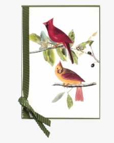 Antique Red Bird - Northern Cardinal, HD Png Download, Transparent PNG
