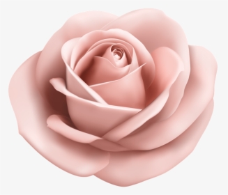 Rose Soft Peach Transparent Png Clip Art Image - Light Blue Flower Png, Png Download, Transparent PNG