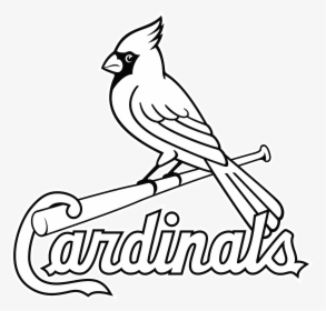 Louis Cardinals Logo Png Transparent Amp Svg Vector - St Louis Cardinals Logo Outline, Png Download, Transparent PNG