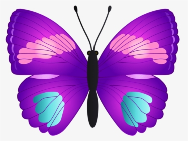 Butterfly Transparent Png - Butterfly Pink Teal And Purple, Png Download, Transparent PNG