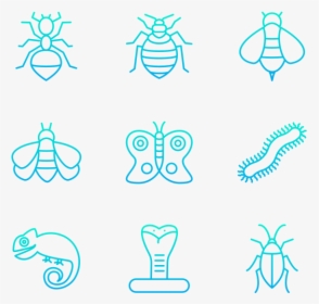 Insects, HD Png Download, Transparent PNG