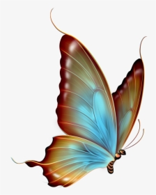 Transparent Background Butterfly Clipart, HD Png Download, Transparent PNG
