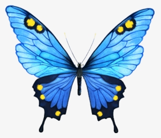Infinity Clipart Butterfly - Portable Network Graphics, HD Png Download, Transparent PNG