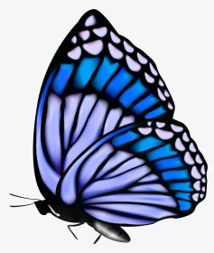 Butterflies Png Butterfly - Blue Butterfly Gif Png, Transparent Png, Transparent PNG