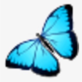 Butterfly Icon, HD Png Download, Transparent PNG