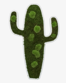 Cactus Pictogram 60 Cm - Chlorophyta, HD Png Download, Transparent PNG