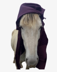 Go To Winston S Page - Stallion, HD Png Download, Transparent PNG