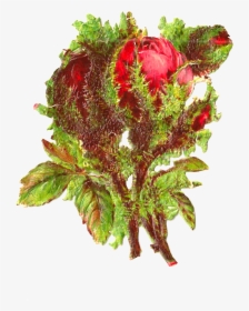 Bouquet, HD Png Download, Transparent PNG