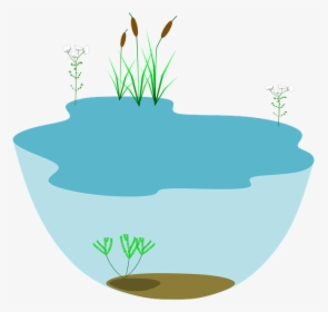 Lake, Ecosystem, Ecosystems Water Water, HD Png Download, Transparent PNG