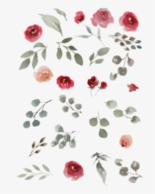 Watercolor, Watercolor Roses, Green Leaves, Leaves - Small Watercolor Florals, HD Png Download, Transparent PNG