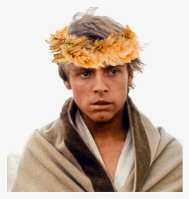 Young Mark Hamill Star Wars - Luke Skywalker Premier Star Wars, HD Png Download, Transparent PNG