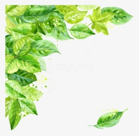 Free Png Leaf Frame Png - Transparent Background Leaves Png, Png Download, Transparent PNG