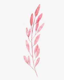Ovate Leaf Pink Plant Illustration Watercolor Painting - Leaf Watercolor Paint Png, Transparent Png, Transparent PNG