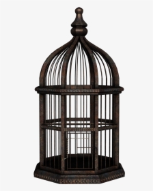 Cage Png Transparent Hd Photo - High Resolution Bird Cage, Png Download, Transparent PNG