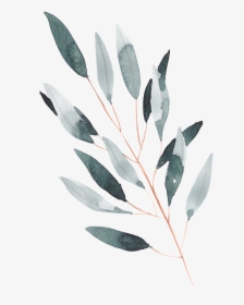 Hand Painted A Leaf Watercolor Transparent - Watercolor Leaves Transparent Bg, HD Png Download, Transparent PNG