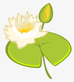 Water Lily, Lake, Water, Pond, Blossom, Bloom, Nature - Illustration, HD Png Download, Transparent PNG
